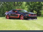 Thumbnail Photo undefined for 2012 Ford Mustang Boss 302 Coupe